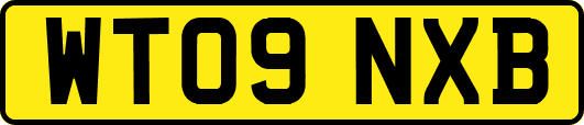 WT09NXB