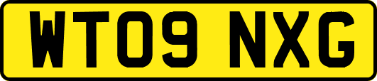 WT09NXG