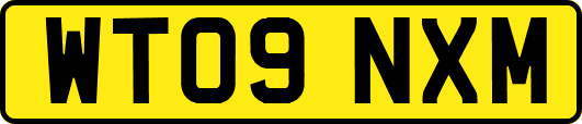 WT09NXM