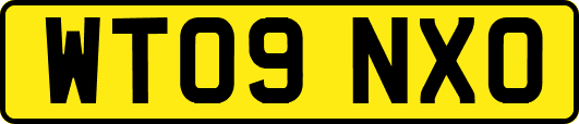 WT09NXO