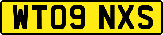 WT09NXS
