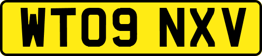 WT09NXV