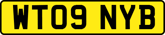 WT09NYB