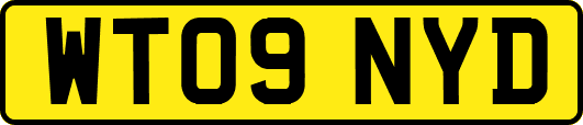 WT09NYD