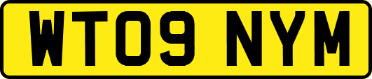 WT09NYM