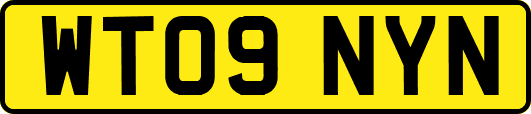 WT09NYN