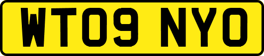 WT09NYO