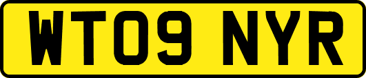WT09NYR