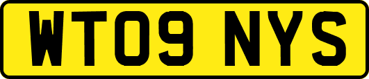 WT09NYS