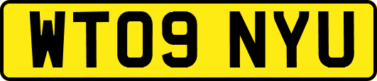 WT09NYU
