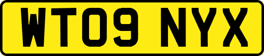 WT09NYX