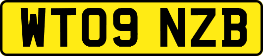 WT09NZB