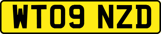 WT09NZD