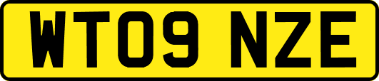 WT09NZE
