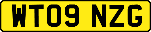 WT09NZG