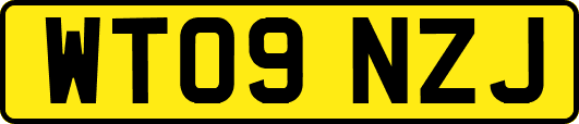 WT09NZJ