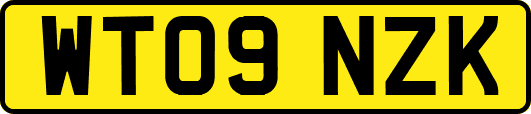 WT09NZK