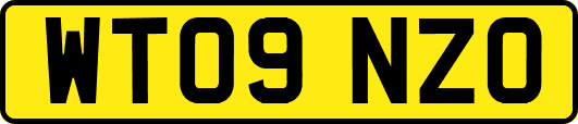 WT09NZO