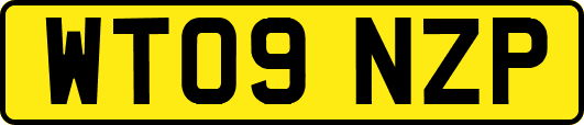 WT09NZP