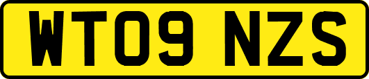 WT09NZS
