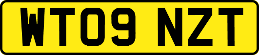 WT09NZT