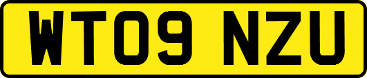 WT09NZU