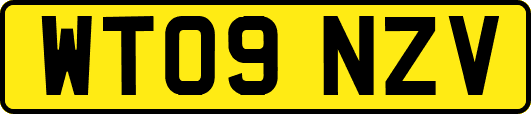 WT09NZV