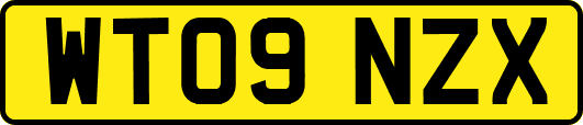 WT09NZX