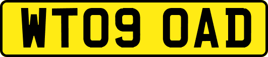 WT09OAD