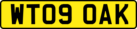 WT09OAK