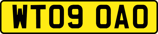 WT09OAO