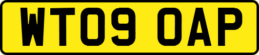 WT09OAP