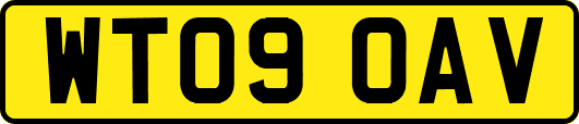 WT09OAV