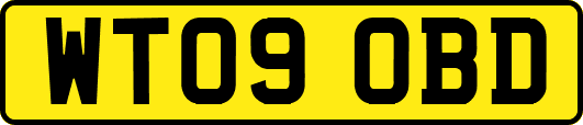 WT09OBD