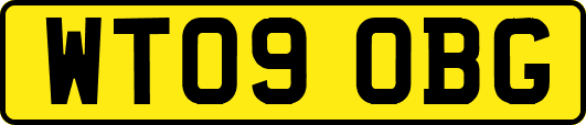 WT09OBG