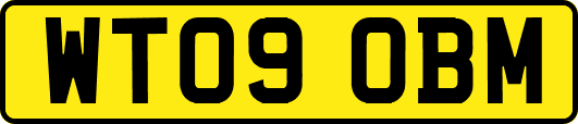 WT09OBM