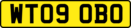 WT09OBO