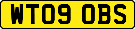 WT09OBS