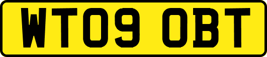 WT09OBT
