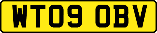 WT09OBV
