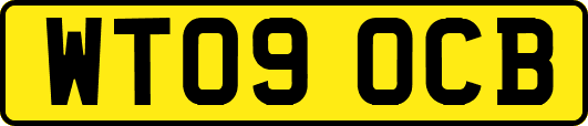 WT09OCB