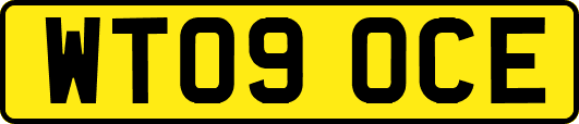 WT09OCE