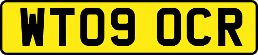 WT09OCR
