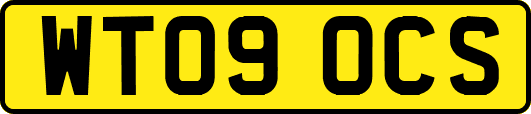 WT09OCS