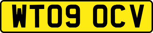 WT09OCV