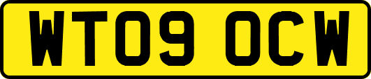 WT09OCW