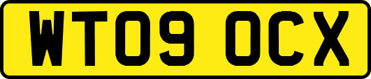 WT09OCX