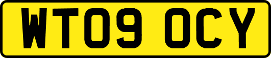 WT09OCY