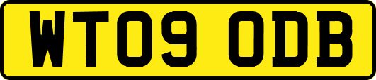 WT09ODB