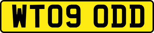 WT09ODD